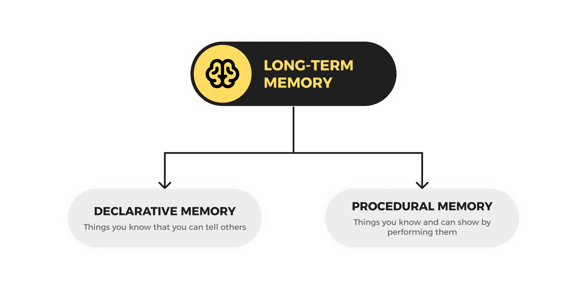 Declarative vs. procedural memory (1957) | Taalhammer